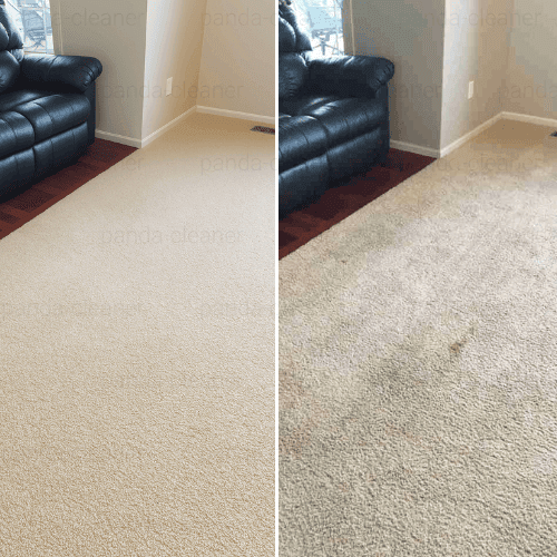 Carpet & Rug Cleaning